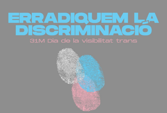 Manifest dia de la visibilitat trans